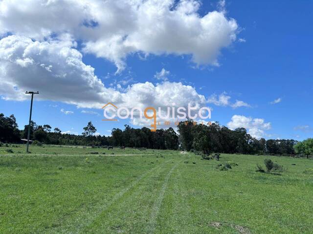#2 - Sítio para Venda em Santa Vitória do Palmar - RS - 3