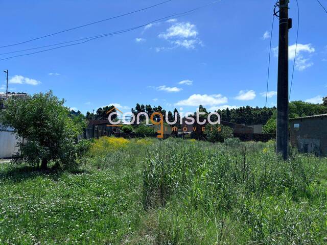 #5 - Área para Venda em Santa Vitória do Palmar - RS - 2
