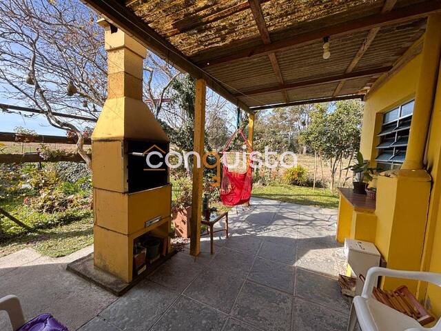 #41 - Chácara para Venda em Santa Vitória do Palmar - RS - 3