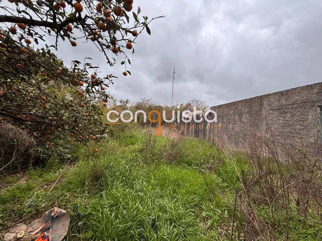 #46 - Casa para Venda em Santa Vitória do Palmar - RS - 3