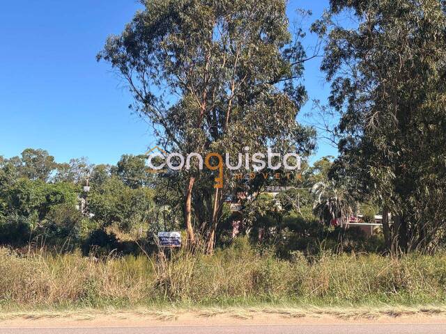 Venda em Santa Júlia - Santa Vitória do Palmar